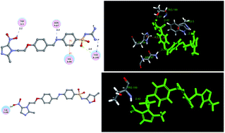 Graphical abstract: Novel metronidazole-sulfonamide derivatives as potent and selective carbonic anhydrase inhibitors: design, synthesis and biology analysis