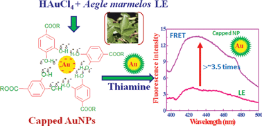 Graphical abstract: Green synthesis of gold nanoparticles using aqueous Aegle marmelos leaf extract and their application for thiamine detection
