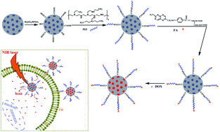 Graphical abstract: Functionalized mesoporous carbon nanoparticles for targeted chemo-photothermal therapy of cancer cells under near-infrared irradiation