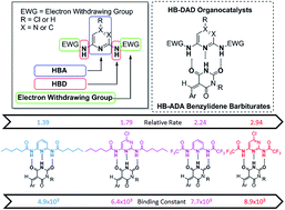 Graphical abstract: Hydrogen bond donor–acceptor–donor organocatalysis for conjugate addition of benzylidene barbiturates via complementary DAD–ADA hydrogen bonding