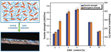 Graphical abstract: Liquid crystal microphase separation of cellulose nanocrystals in wet-spun PVA composite fibers