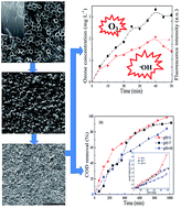 Graphical abstract: Effectiveness of electrochemical degradation of sulfamethazine on a nanocomposite SnO2 electrode