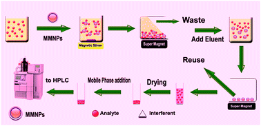 Graphical abstract: Determination of aflatoxin M1 in liquid milk using high performance liquid chromatography with fluorescence detection after magnetic solid phase extraction
