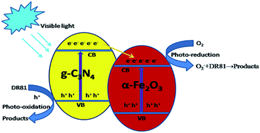 Graphical abstract: Photocatalytic and photoelectrochemical studies of visible-light active α-Fe2O3–g-C3N4 nanocomposites