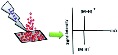 Graphical abstract: Carbon dots as nanoantennas for anti-inflammatory drug analysis using surface-assisted laser desorption/ionization time-of-flight mass spectrometry in serum