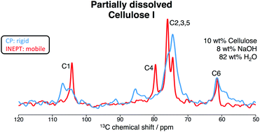 Graphical abstract: Polarization transfer solid-state NMR: a new method for studying cellulose dissolution