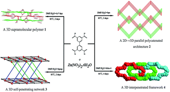 Graphical abstract: Multifarious zinc coordination polymers based on biphenyl-3,3′,5,5′-tetracarboxylate and different flexibility of N-donor ligands