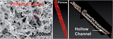 Graphical abstract: Template-free, hollow and porous platinum nanotubes derived from tobamovirus and their three-dimensional structure at the nanoscale