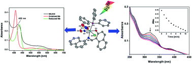 Graphical abstract: Reactivity of nitric oxide with ruthenium complexes derived from bidentate ligands: structure of a ruthenium nitrosyl complex, photoinduced generation and estimation of nitric oxide