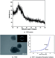 Graphical abstract: In vivo cytotoxicity of MgO-doped nanobioactive glass particles and their anticorrosive coating on Ti–6Al–4V and SS304 implants for high load-bearing applications