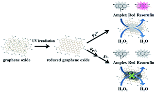Graphical abstract: Immobilization of iron hydroxide/oxide on reduced graphene oxide: peroxidase-like activity and selective detection of sulfide ions