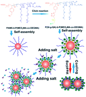 Graphical abstract: Oligo(ethylene glycol) and quaternary ammonium-based block copolymer micelles: from tunable thermoresponse to dual salt response