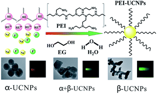 Graphical abstract: A facile synthesis of NaYF4:Yb3+/Er3+ nanoparticles with tunable multicolor upconversion luminescence properties for cell imaging