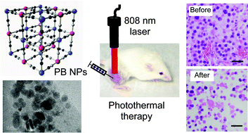 Graphical abstract: Prussian blue nanoparticles for laser-induced photothermal therapy of tumors