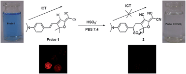 Graphical abstract: A highly selective colorimetric and far-red fluorescent probe for imaging bisulfite in living cells