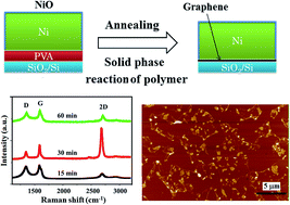 Graphical abstract: Controlling the direct growth of graphene on an insulating substrate by the solid phase reaction of a polymer layer