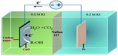 Graphical abstract: Morphology-controlled CuO nanoparticles for electroreduction of CO2 to ethanol