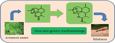 Graphical abstract: One-pot green synthesis of β-artemether/arteether