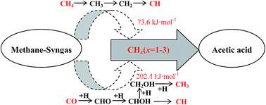 Graphical abstract: Source and major species of CHx (x = 1–3) in acetic acid synthesis from methane–syngas on Rh catalyst: a theoretical study