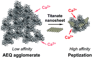 Graphical abstract: Intense emissions from photoproteins interacting with titanate nanosheets