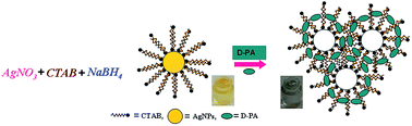 Graphical abstract: Ultrasensitive, highly selective and naked eye colorimetric recognition of d-penicillamine in aqueous media by CTAB capped AgNPs: applications to pharmaceutical and biomedical analysis