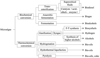 Graphical abstract: Perspectives and advances of microalgal biodiesel production with supercritical fluid technology
