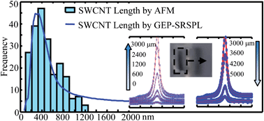 Graphical abstract: Gel electrophoresis and Raman mapping for determining the length distribution of SWCNTs