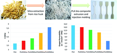 Graphical abstract: Rice husk as bio-source of silica: preparation and characterization of PLA–silica bio-composites