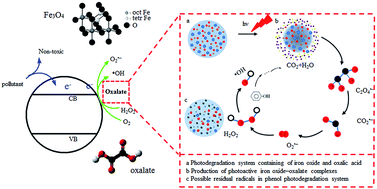 Graphical abstract: Photocatalytic degradation of phenol by the heterogeneous Fe3O4 nanoparticles and oxalate complex system