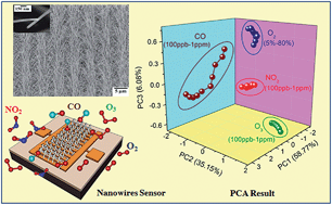 Graphical abstract: Electronic nose for toxic gas detection based on photostimulated core–shell nanowires