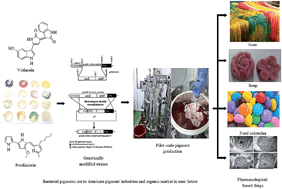 Graphical abstract: Current perspective on bacterial pigments: emerging sustainable compounds with coloring and biological properties for the industry – an incisive evaluation
