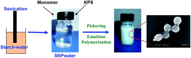 Graphical abstract: Starch nanoparticles produced via ultrasonication as a sustainable stabilizer in Pickering emulsion polymerization