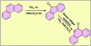 Graphical abstract: Photocatalysis in dimethyl carbonate green solvent: degradation and partial oxidation of phenanthrene on supported TiO2