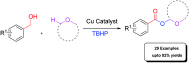Graphical abstract: Copper-catalyzed acyloxylation of the C(sp3)–H bond adjacent to an oxygen by a cross-dehydrogenative coupling approach