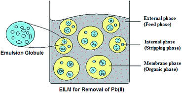 Graphical abstract: Emulsion ionic liquid membranes (EILMs) for removal of Pb(ii) from aqueous solutions