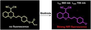 Graphical abstract: A colorimetric and near-infrared fluorescent probe for biothiols and its application in living cells