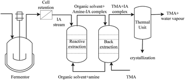 Graphical abstract: Development of reactive extraction systems for itaconic acid: a step towards in situ product recovery for itaconic acid fermentation