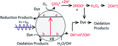Graphical abstract: Principles and mechanisms of photocatalytic dye degradation on TiO2 based photocatalysts: a comparative overview