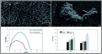 Graphical abstract: Chitosan (PEO)/bioactive glass hybrid nanofibers for bone tissue engineering