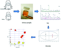Graphical abstract: Urine metabolomic study of primary dysmenorrhea patients during menstrual period using an ultra performance liquid chromatography coupled with quadrupole-time-of-flight mass spectrometry (UPLC-Q-TOF-MS)