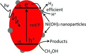Graphical abstract: Enhancing the photocatalytic H2 evolution activity of red phosphorous by using noble-metal-free Ni(OH)2 under photoexcitation up to 700 nm