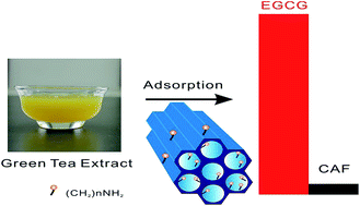 Graphical abstract: Amino-functionalized ordered mesoporous silica SBA-15, a rapid and efficient adsorbent for the adsorption of (−)-epigallocatechin gallate from green tea extract