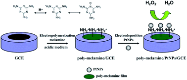 Graphical abstract: A novel non-enzymatic hydrogen peroxide sensor based on poly-melamine film modified with platinum nanoparticles