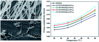 Graphical abstract: Preparation and characterization of continuous carbon nanofiber-supported SPEEK composite membranes for fuel cell application