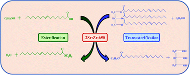 Graphical abstract: One-pot transesterification and esterification of waste cooking oil via ethanolysis using Sr:Zr mixed oxide as solid catalyst