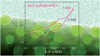 Graphical abstract: Enhanced performances of nonenzymatic glucose sensors by attaching Au nanoparticles onto the surfaces of Cu2O@Cu nanocable arrays
