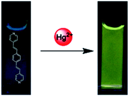 Graphical abstract: A highly selective and sensitive fluorescent chemosensor for Hg2+ based on a pyridine-appended π-conjugated ligand