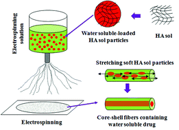 Graphical abstract: Microsol-electrospinning for controlled loading and release of water-soluble drugs in microfibrous membranes