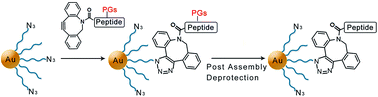 Graphical abstract: Peptide-decorated gold nanoparticles via strain-promoted azide–alkyne cycloaddition and post assembly deprotection