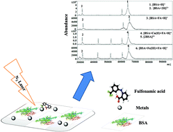 Graphical abstract: Monitoring metallofulfenamic–bovine serum albumin interactions: a novel method for metallodrug analysis